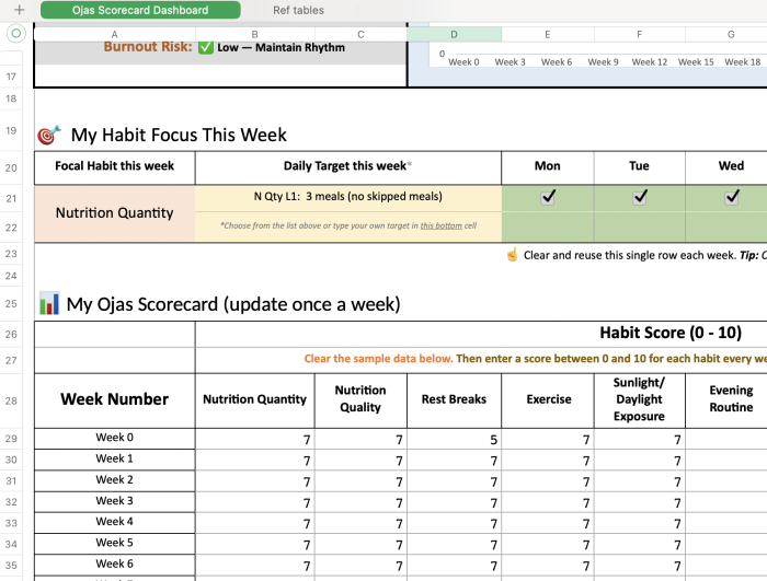 Spreadsheet layout for tracking habits, nutrition, and weekly performance updates.
