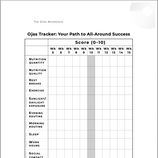 A scoring sheet for tracking personal development and success across various categories.